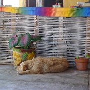 Baja2011 610 : Baja2011